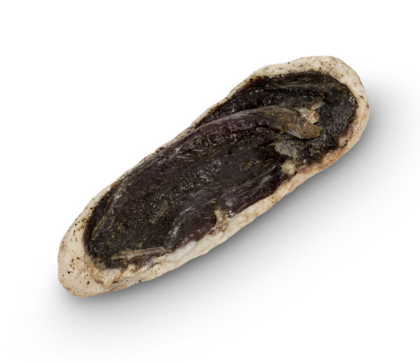 MAGRET D'ANEC CURAT