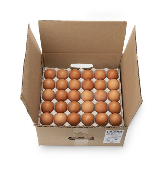 HUEVOS L CAJA PEQUEÑA