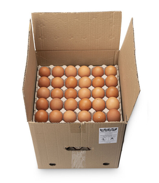 Definición Tina Primero HUEVOS L CAJA GRANDE